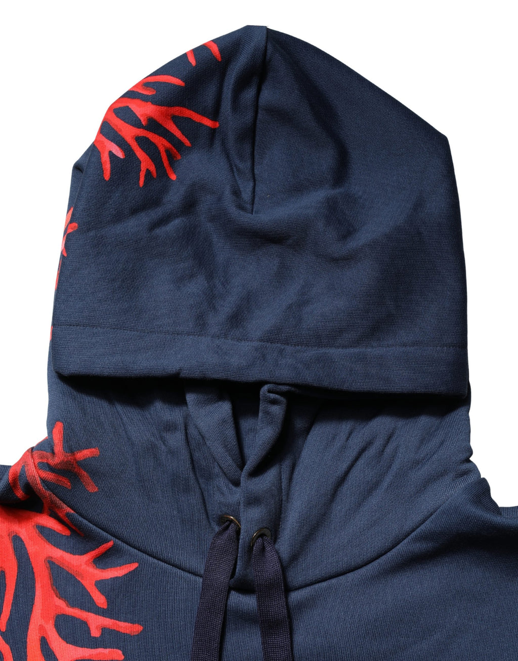 Dolce & Gabbana Blue Cotton Coral Logo Hooded Sweatshirt Sweater
