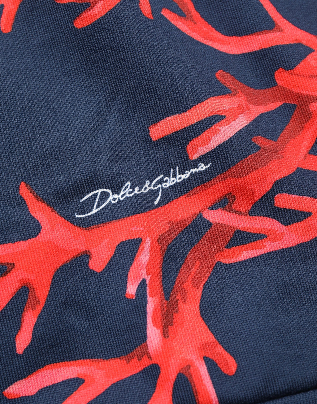Dolce & Gabbana Blue Cotton Coral Logo Hooded Sweatshirt Sweater