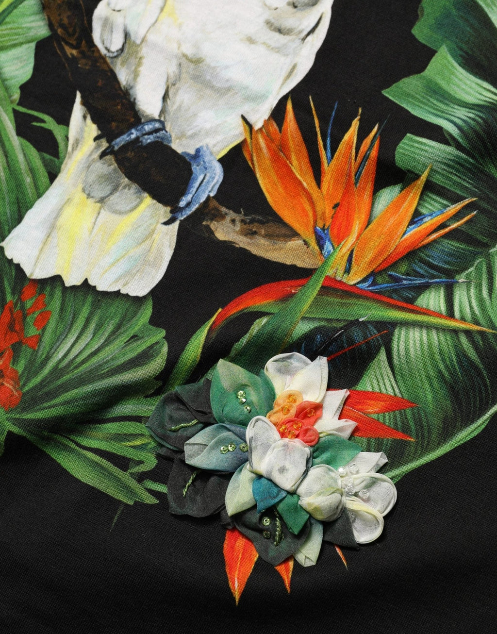 Dolce & Gabbana Black Tropical Print Cotton Round Neck T-Shirt - GET THE BRAND